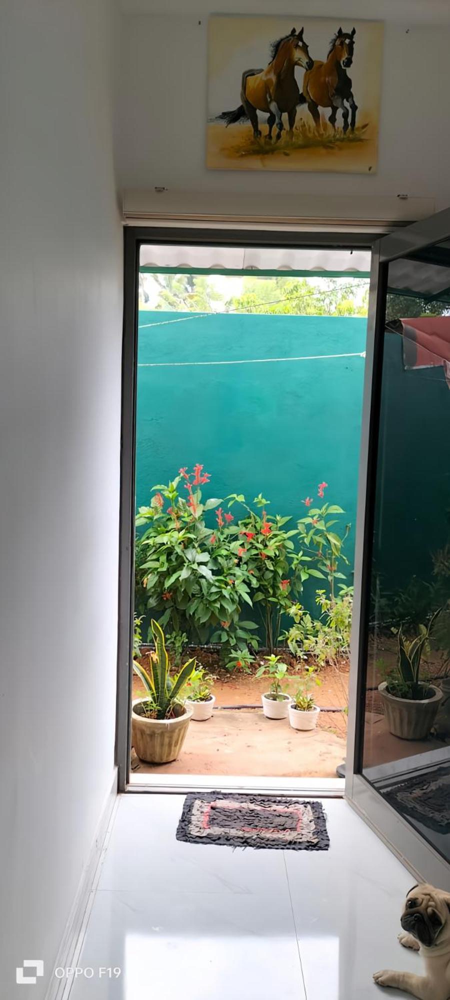 Ceylon Lodge - Airport Transit Hostel Negombo Ngoại thất bức ảnh